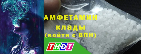 стаф Алзамай