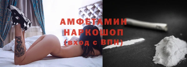 крисы Надым