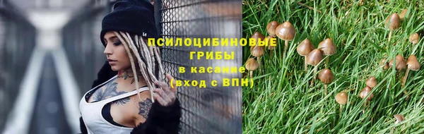 спайс Алексин