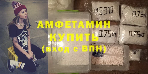 стаф Алзамай